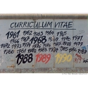 curriculum vitæ