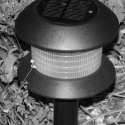 Lamp, Candle, Lantern, & Firefly