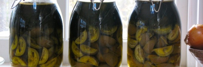 nocino
